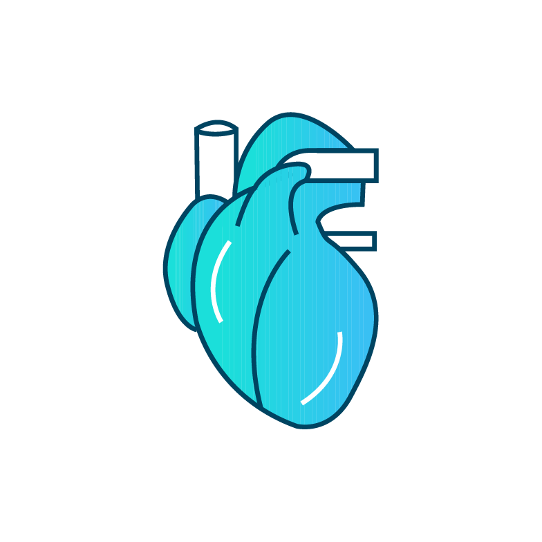 SR-Cardiovascular-Icon-1